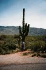 big old cactus
